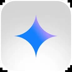 Google Gemini