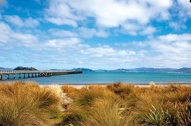 Petone