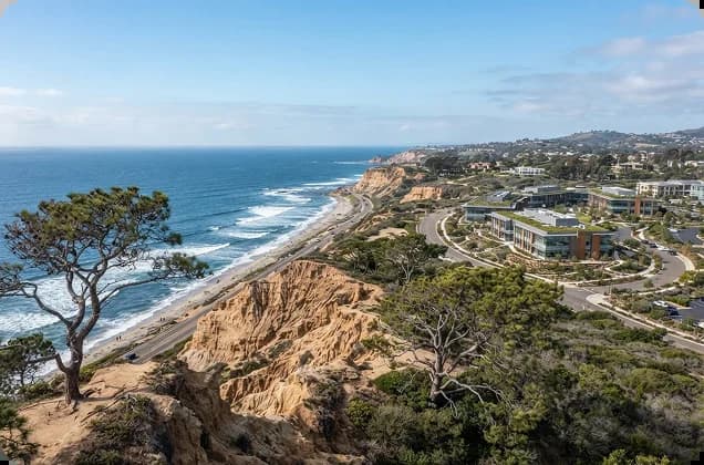 Sorrento Valley, Torrey Pines & UTC