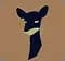 Vicuna