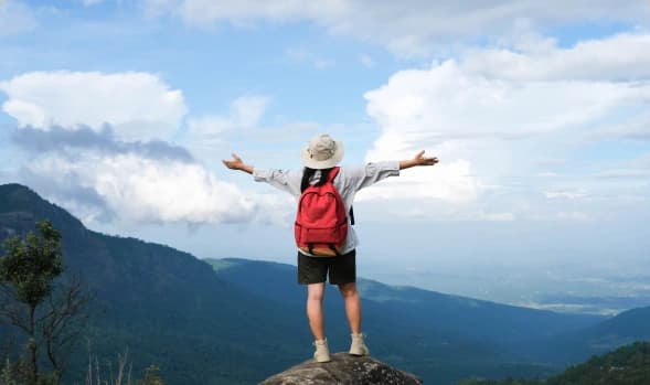 Travel & Hospitality Industry